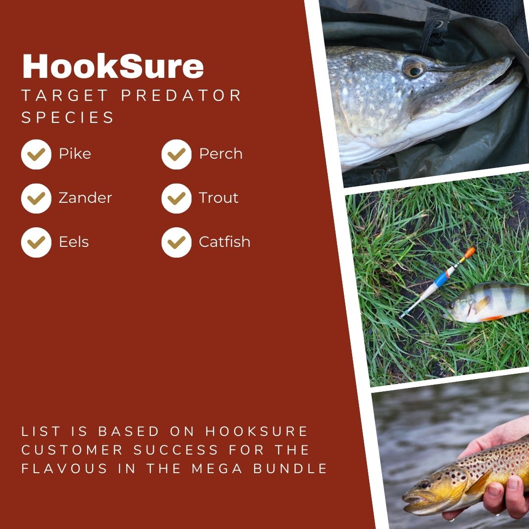 Predator Hook Bait Bundle